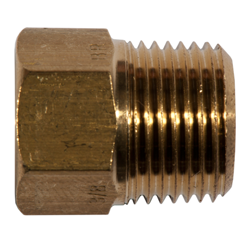 12029800 Straight adaptor